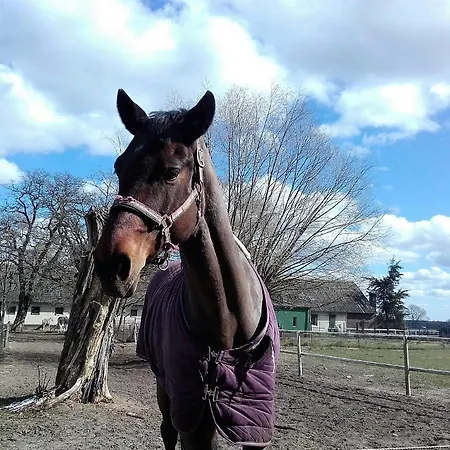 Appartement Eko - Jezioro *