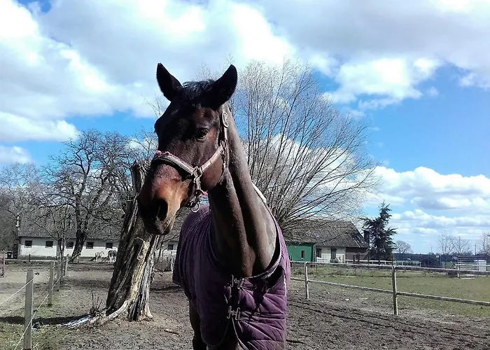 Apartment Eko - Jezioro *